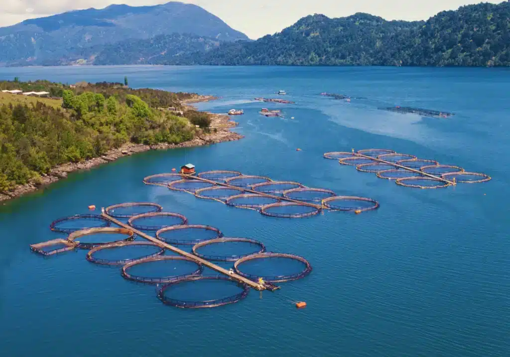 aquafeed-industries-ottevanger2