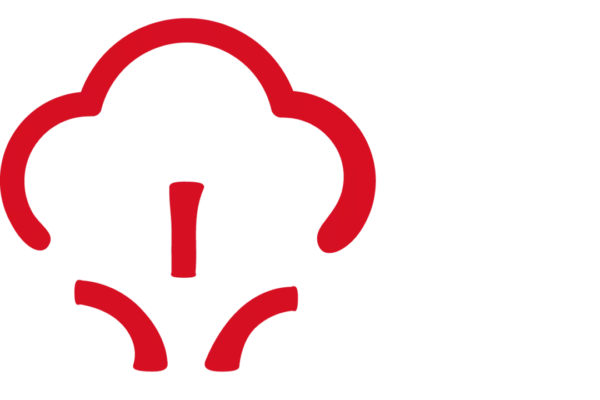 Пар и жидкие компоненты