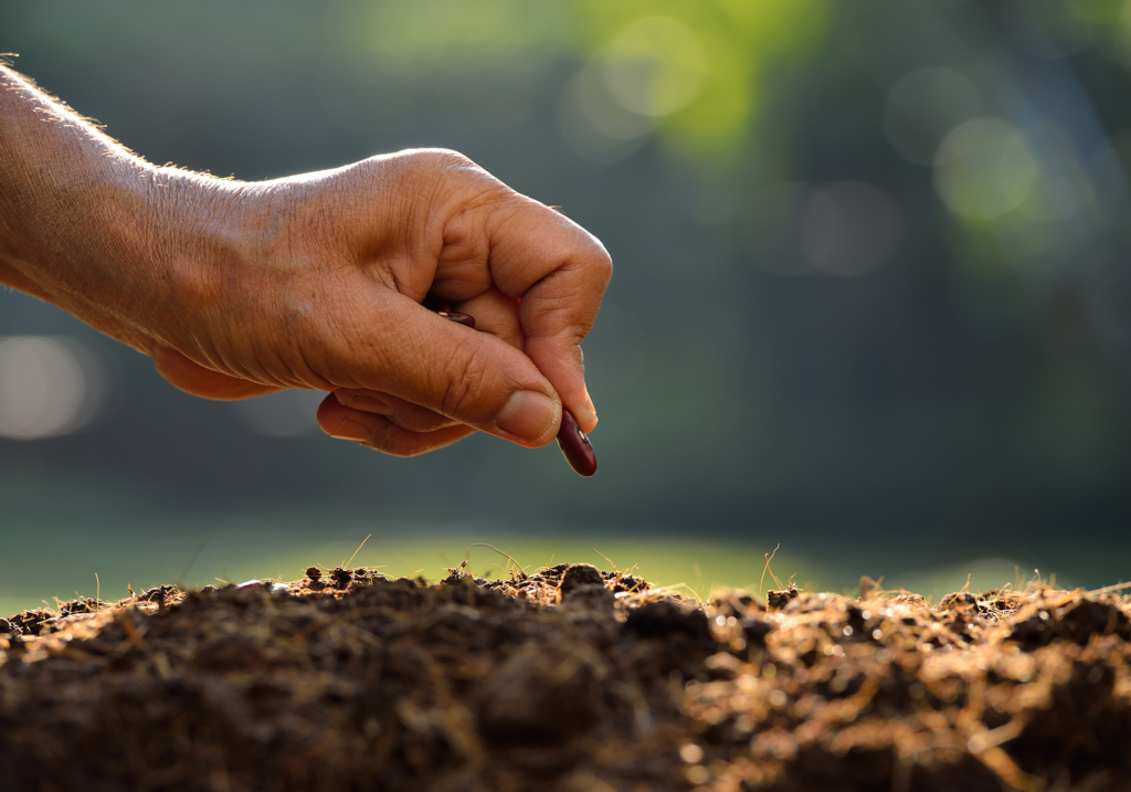 sustainability-ottevanger-planet-green