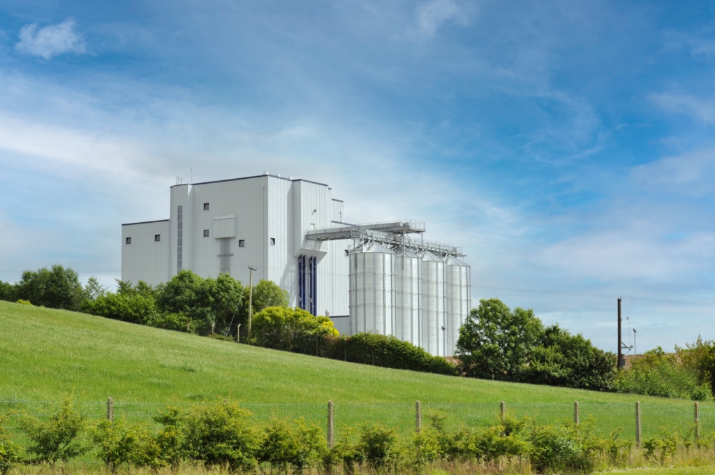 DSC_0167-bewerkt-IF kopiëren